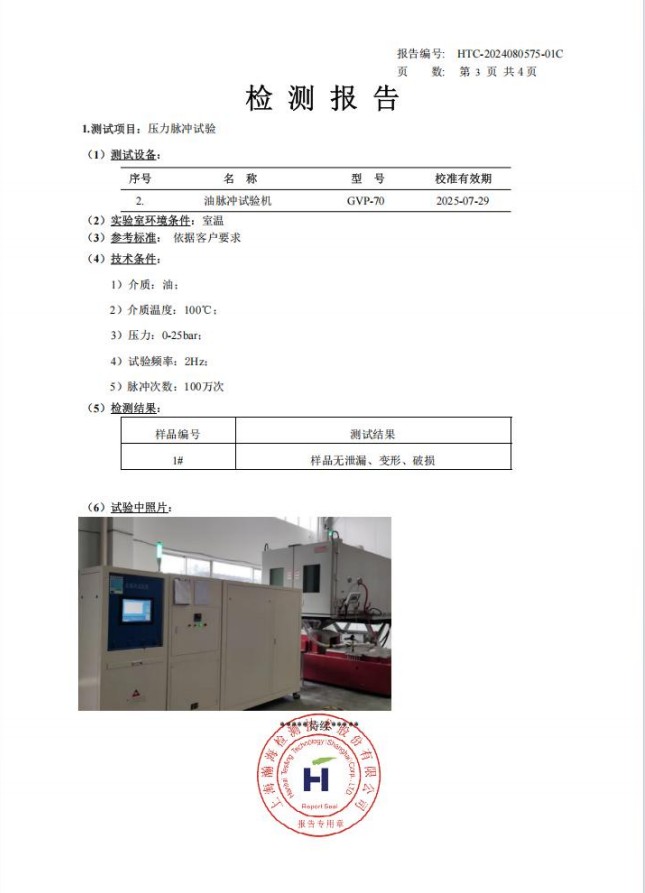 Pressure Pulsation Test Report